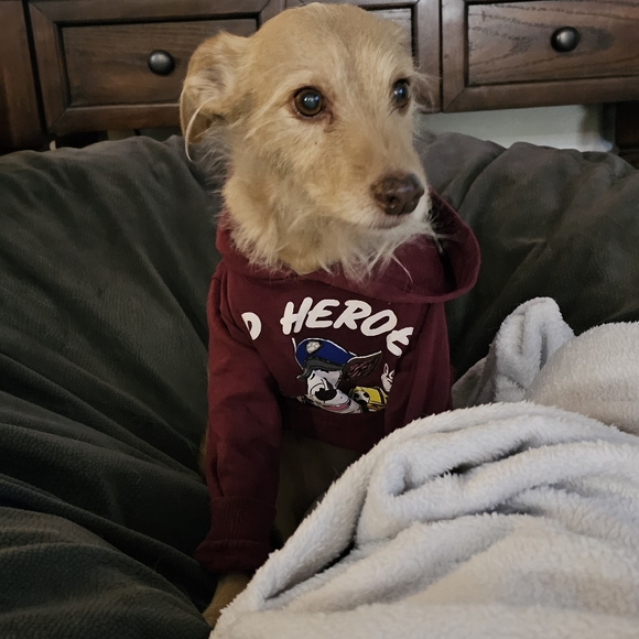 Coffee With Kelley Is Live! Like This To Be Notified When I Go On. - Picture 6 of 15